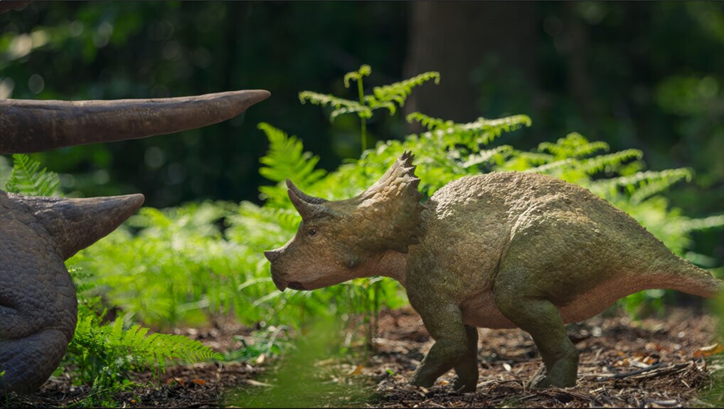 TRICERATOPS – CLOVER